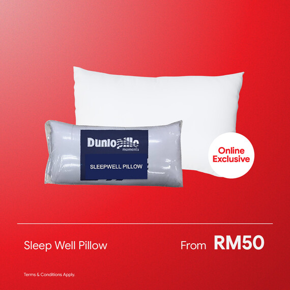 Sleep Well Pillow